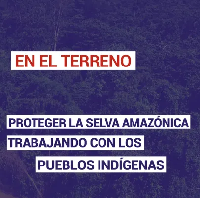 Proteger la selva amazónica trabajando con los pueblos indígenas