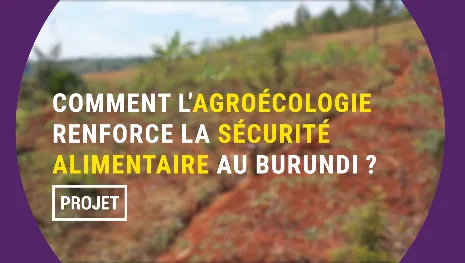 Burundi : comment l'agroécologie peut-elle renforcer la sécurité alimentaire ?