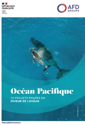 ocean pacifique projets phare afd