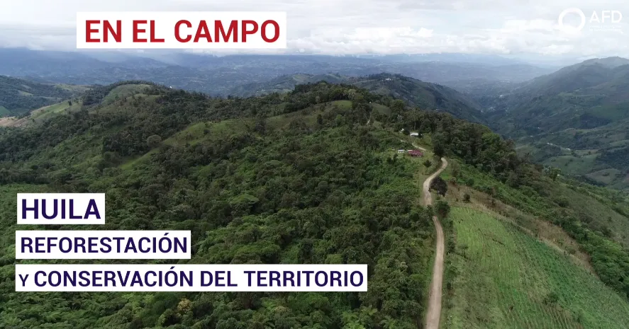 HUILA: Reforestación y conservación del territorio