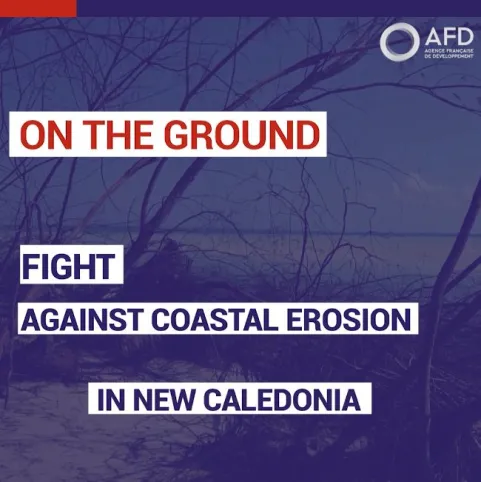Fight against coastal erosion in New Caledonia
