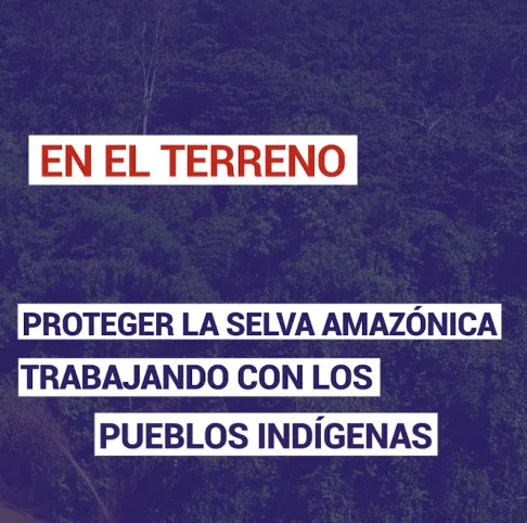 Proteger la selva amazónica trabajando con los pueblos indígenas