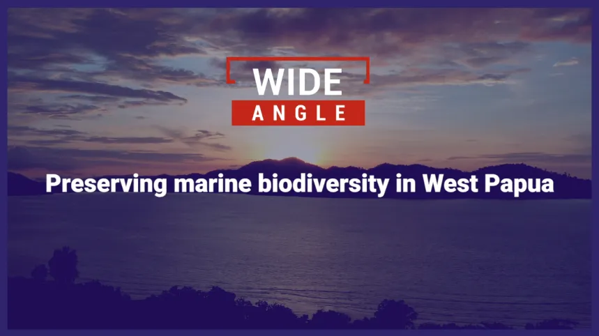 Preserving marine biodiversity in West Papua, Indonesia