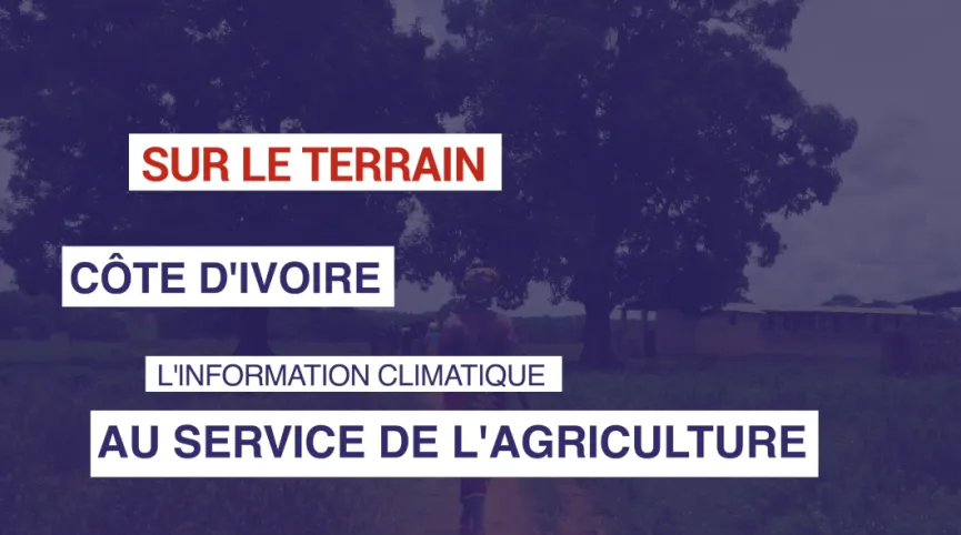 Côte d'Ivoire : L'information climatique au service de l'agriculture