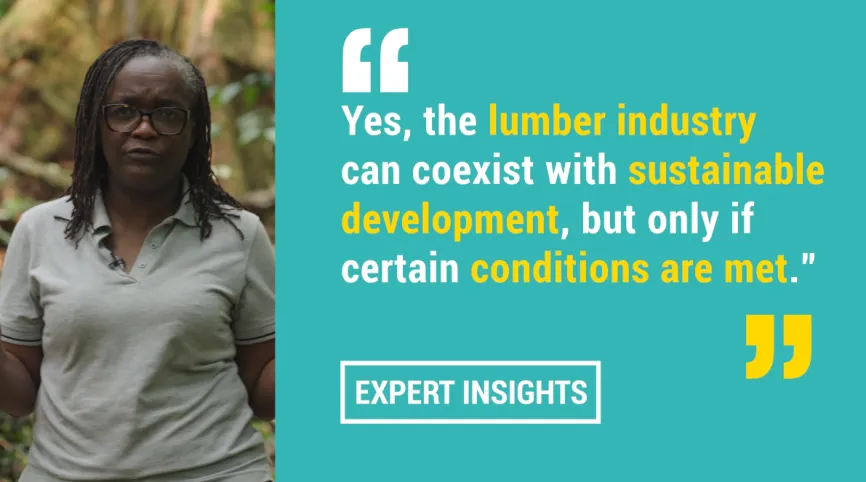 Marthe Mapangou: "Combining forestry and sustainable development is possible"