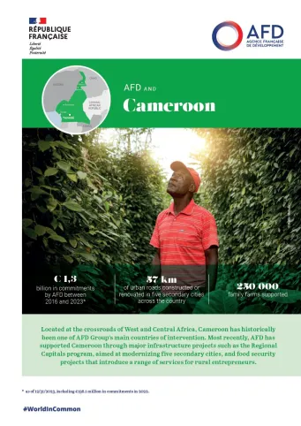 Capture- Page de couverture Fiche pays cameroun- EN.JPG